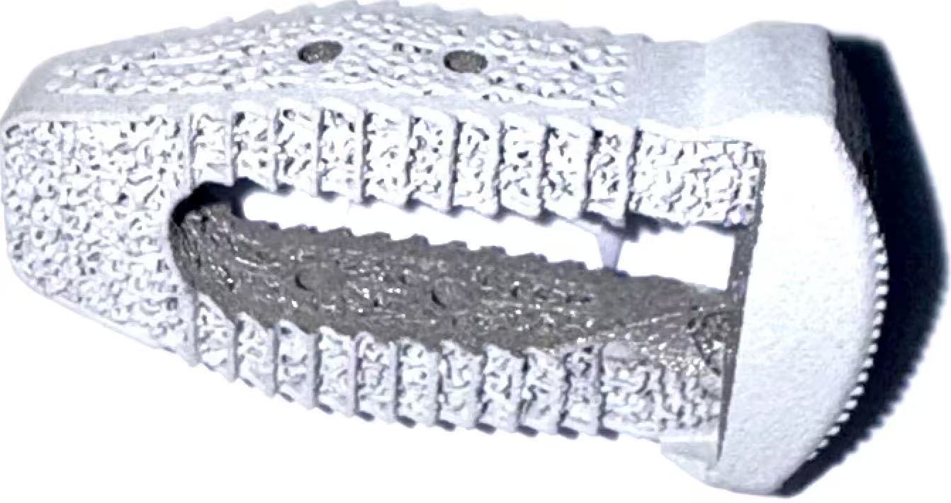 HA Coated Spinal Fusion Cage