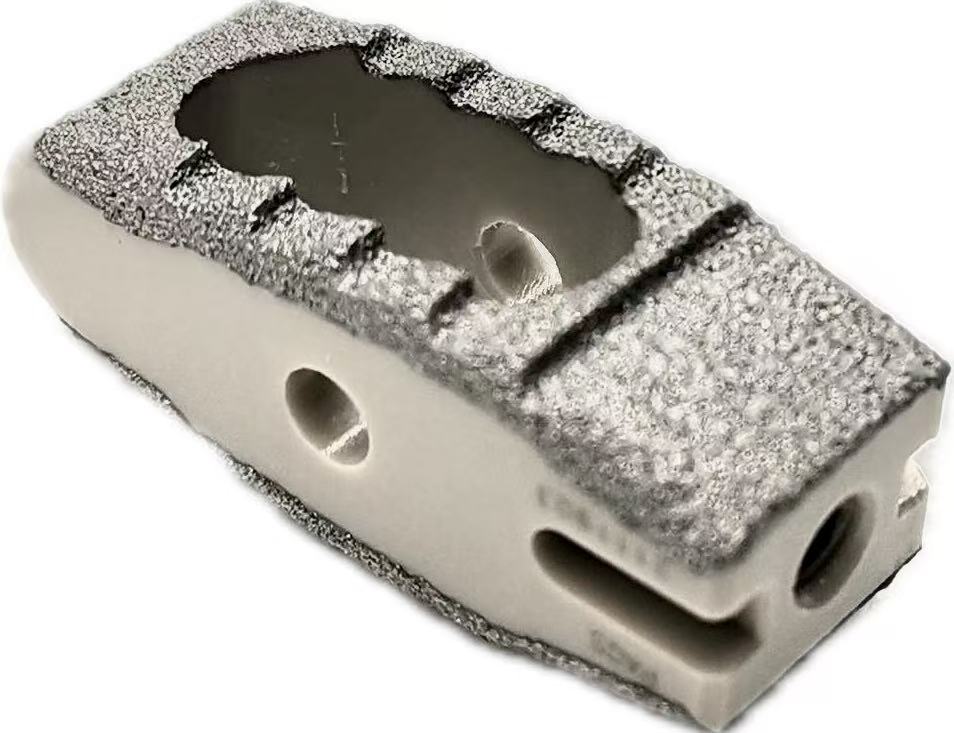 Coated Bullet PEEK Cage