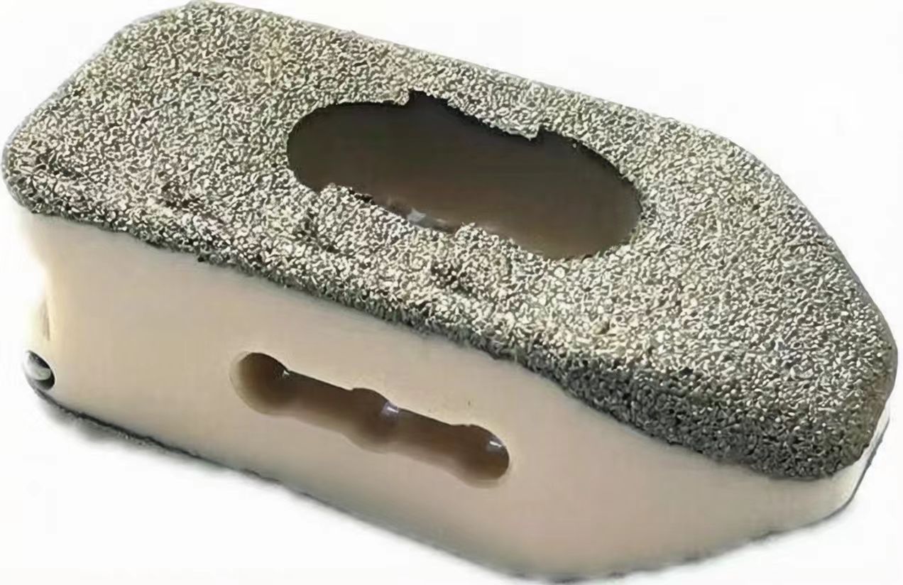 Coated Lumbar PEEK Cage