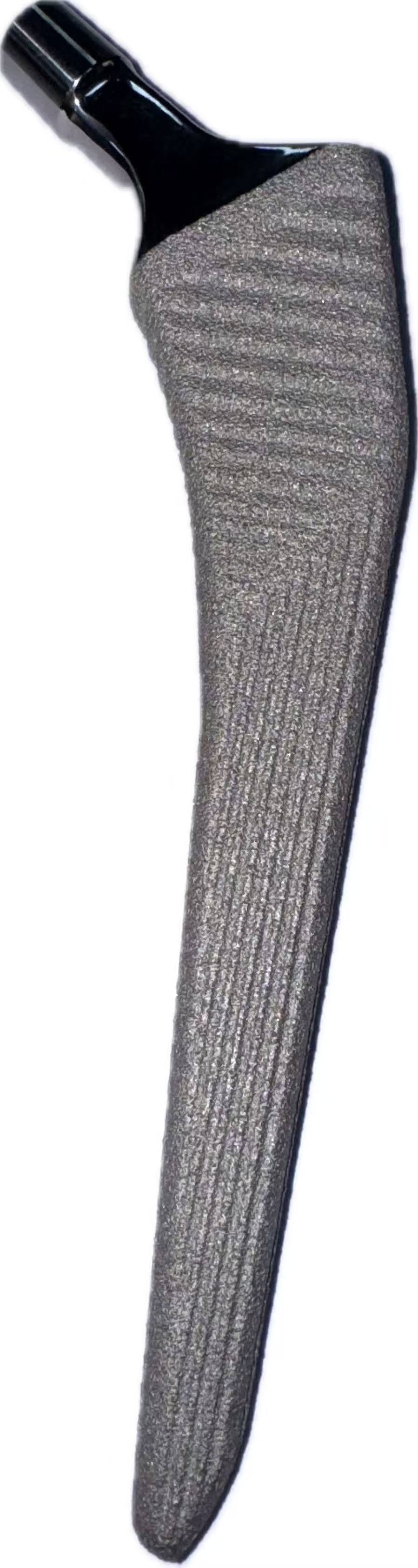 Porous Ti Femoral Stem