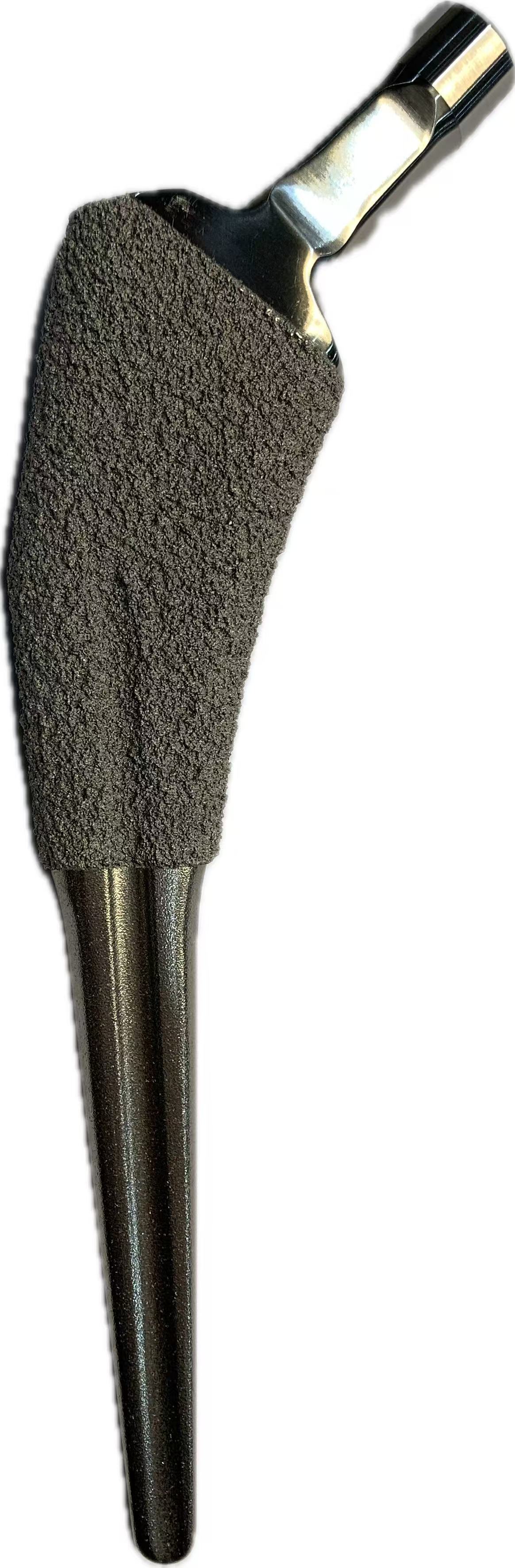 Porous Ti Proximal Stem